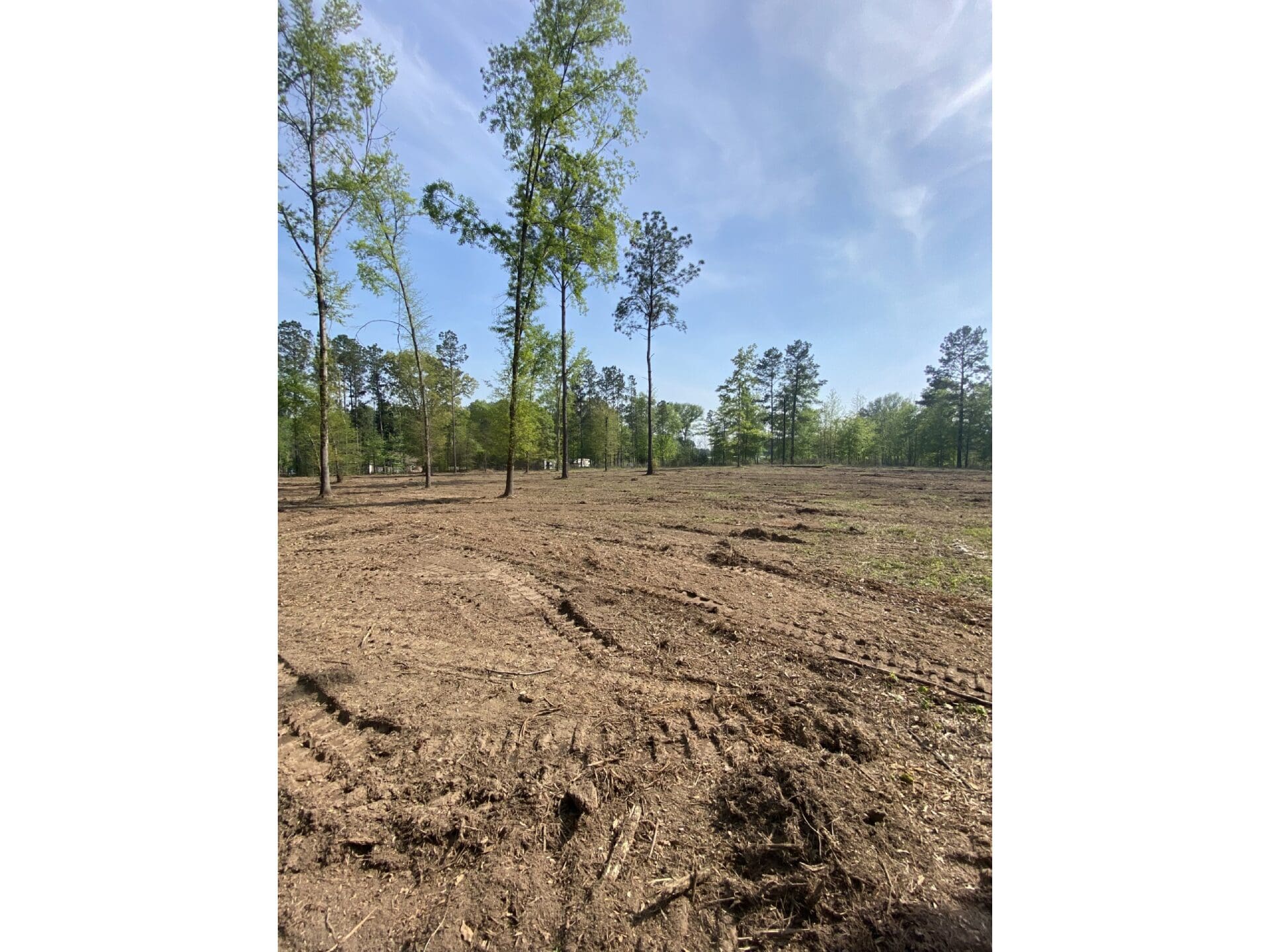 A field with trees in the background and dirt.